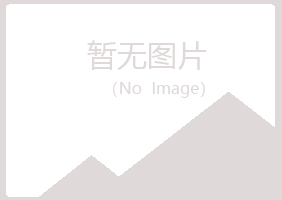 乐至县夜山化学有限公司